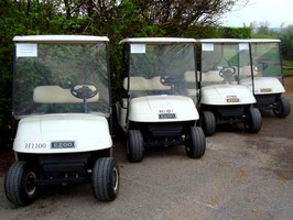Buggies for hire